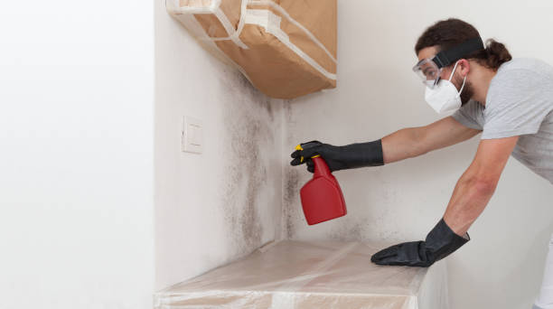 Professional Crawl Space Mold Remediation technician working in Antioch, IL