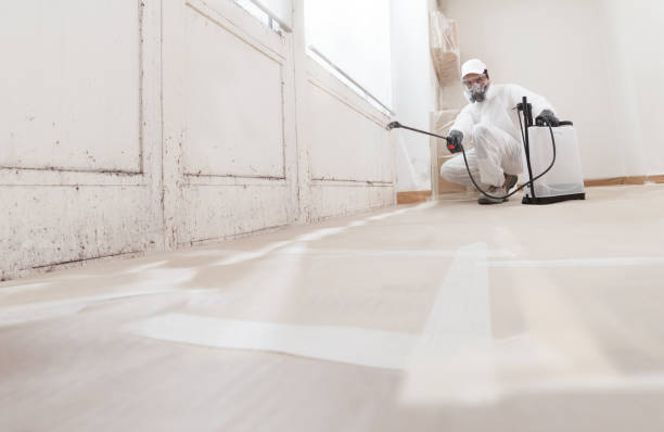 24/7 Emergency Crawl Space Mold Remediation experts in Antioch, IL