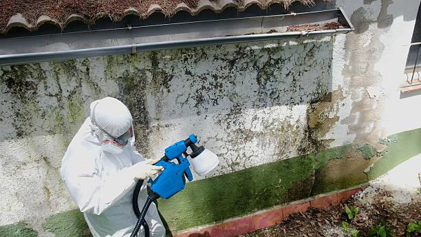 Top rated local Crawl Space Mold Remediation specialists in Antioch, IL